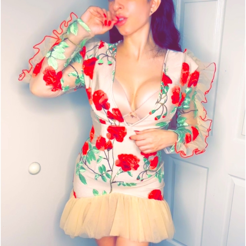 Embroidered Floral Dress